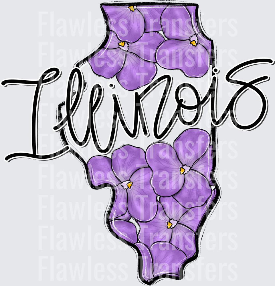 Illinois Whimsy States #0946