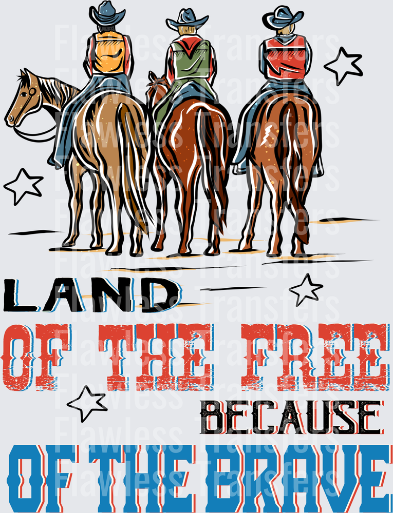 Land Of The Free Because Of The Brave #0052 DTF Transfer - Raw Image
