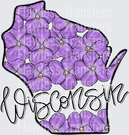 Wisconsin Whimsy States #0993