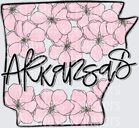 Arkansas Whimsy States #0921