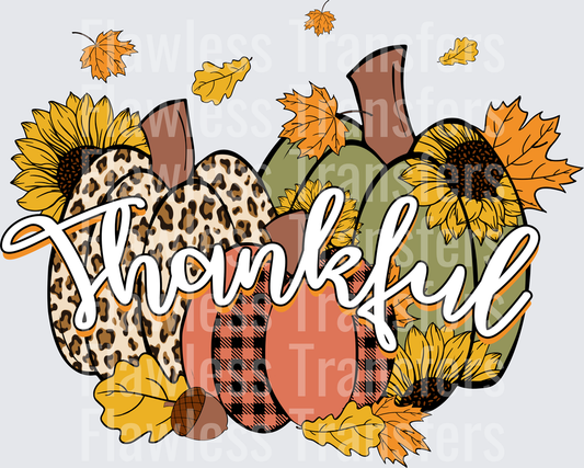 Thankful #0269