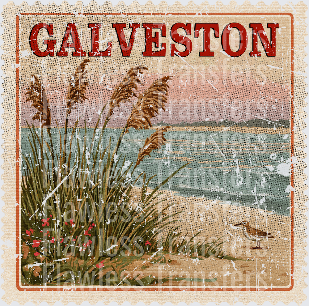 Galveston Vintage Stamp #1059