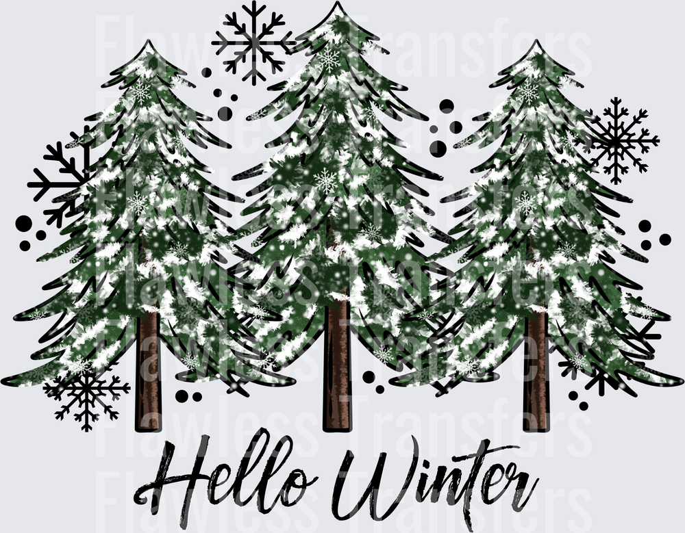 Hello Winter #1650