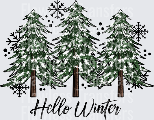 Hello Winter #1650