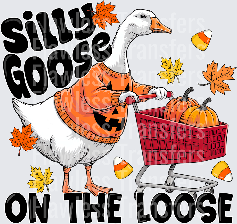 Silly Goose On The Loose #0755