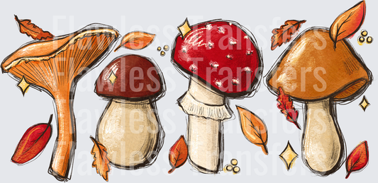 Fall Mushrooms #0032