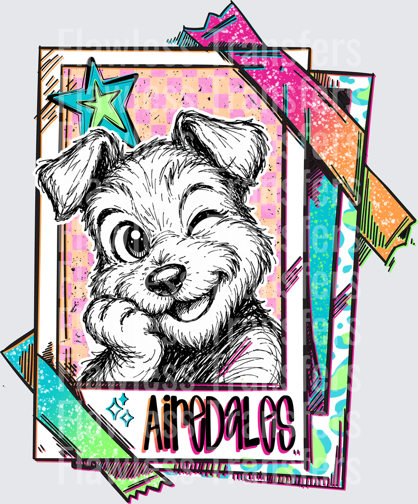 Airedales #3112