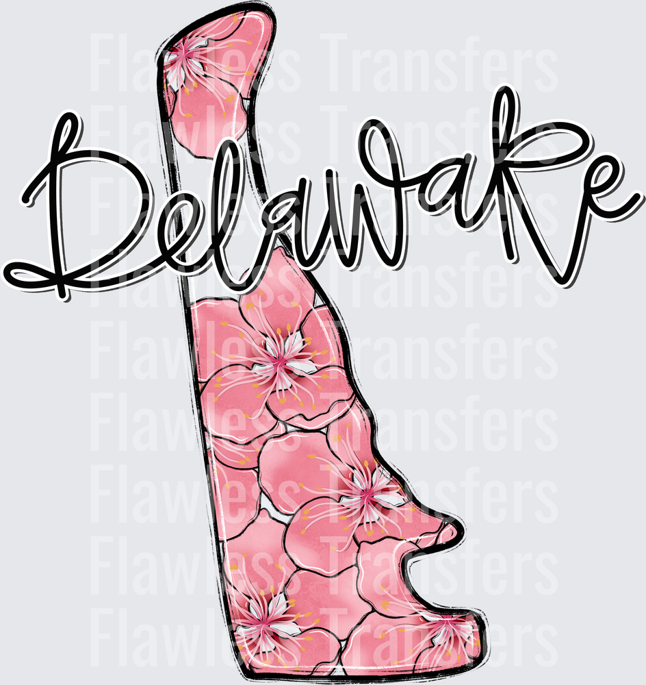 Delaware Whimsy States #0939