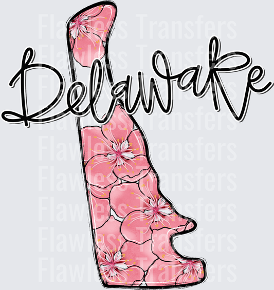 Delaware Whimsy States #0939