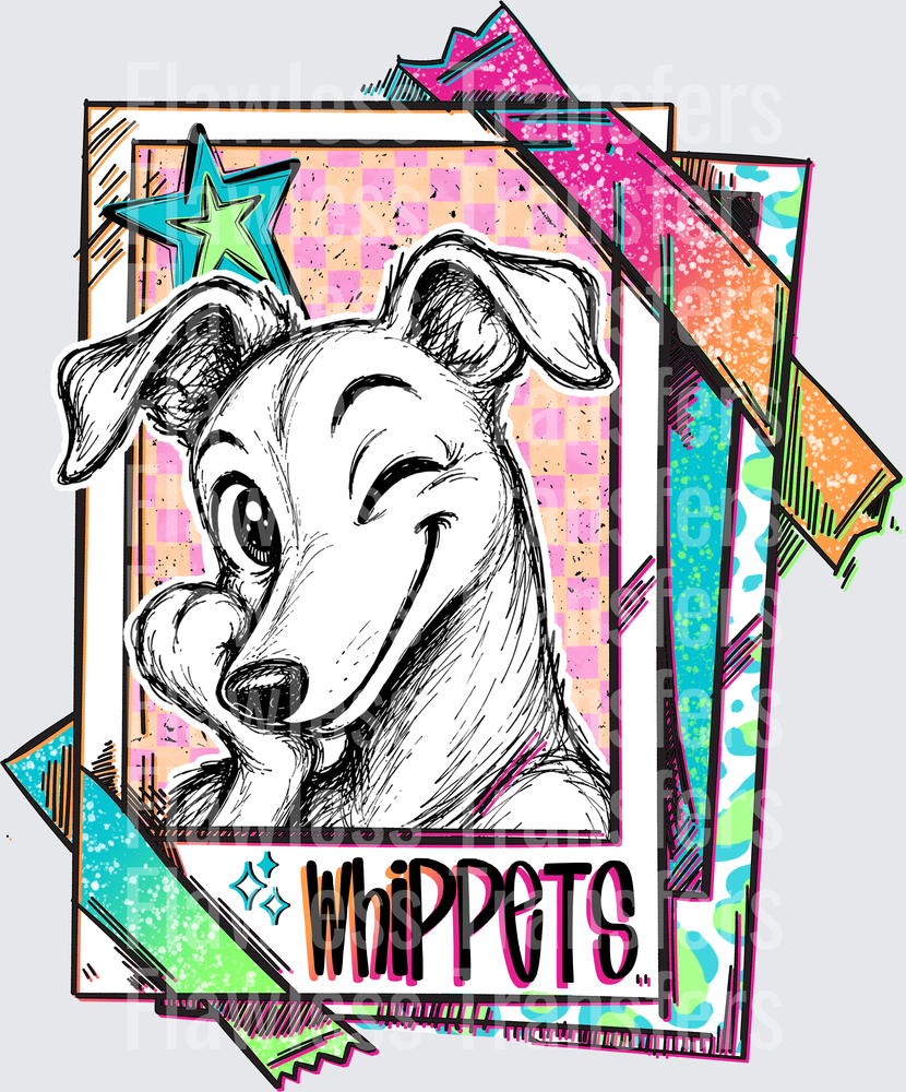 Whippets #3110