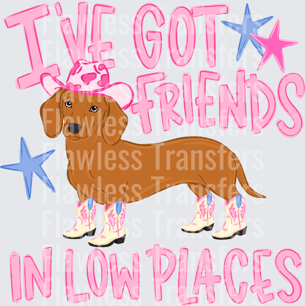 Ive Got Friends In Low Places #4281