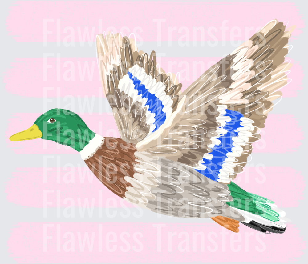 Mallard Duck Stripes No Stars #4298