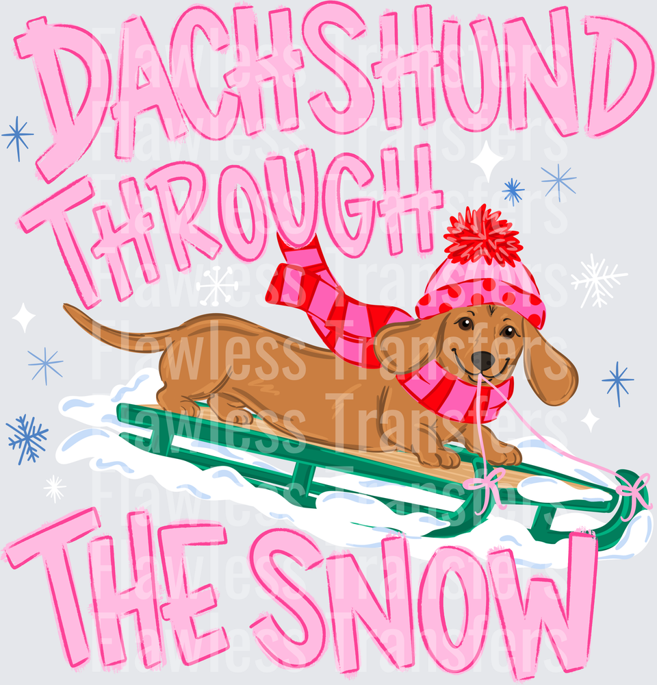 Dachshund Through The Snow #9757
