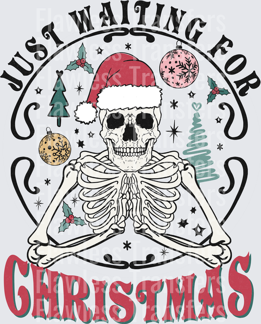 Just Waiting For Christmas #1572