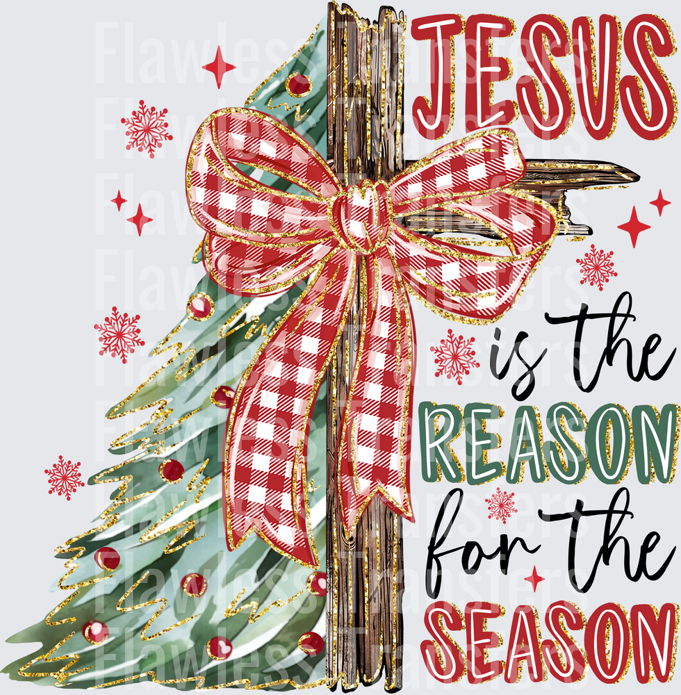 Jesus Is The Reason For The Season #1981