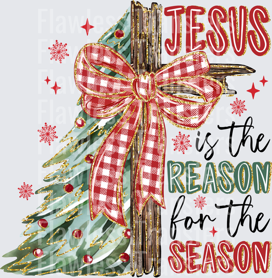 Jesus Is The Reason For The Season #1981