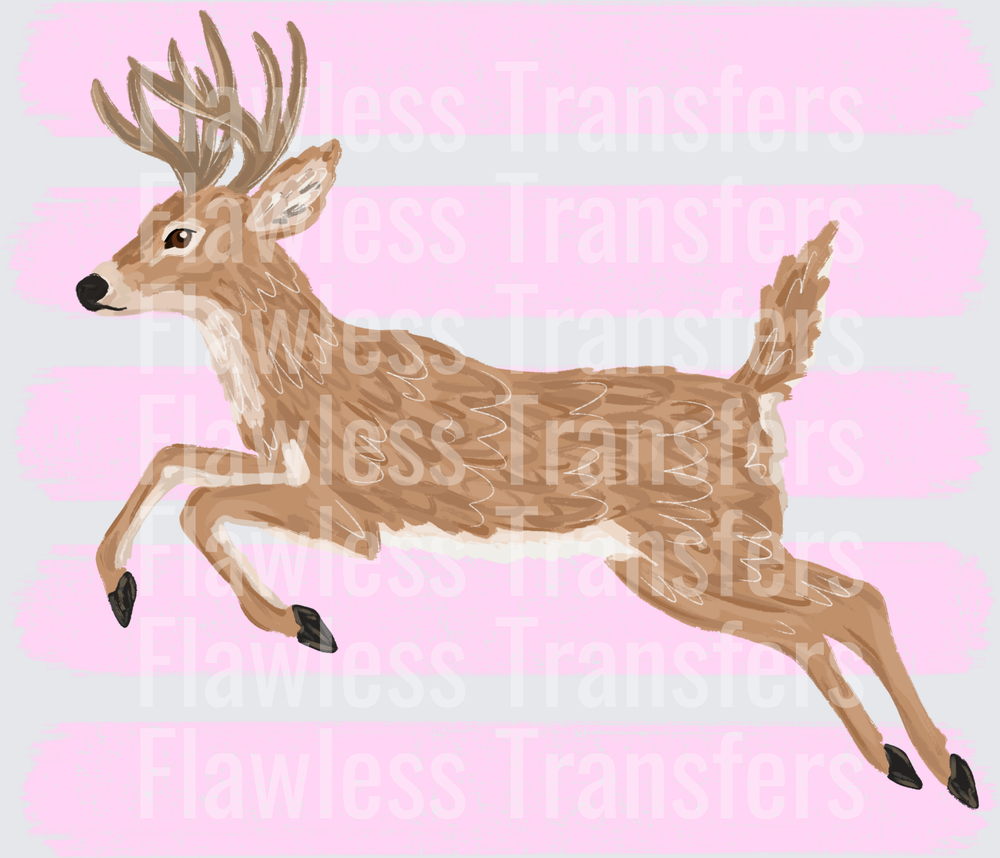 Deer #4855