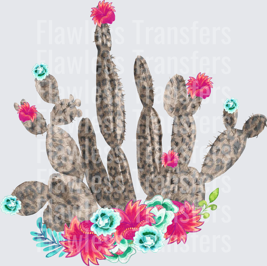 Cheetah Cactus with Flowers #4972