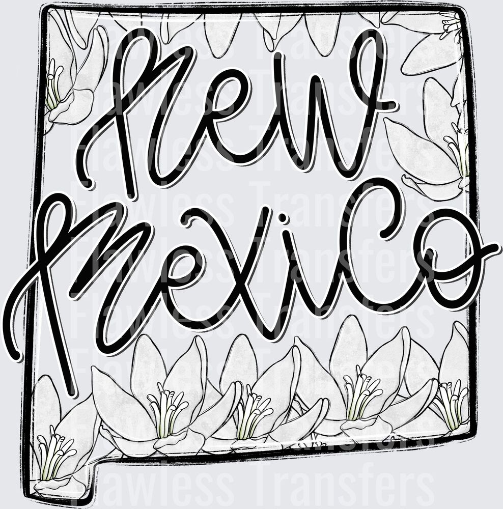 New Mexico Whimsy States #0986