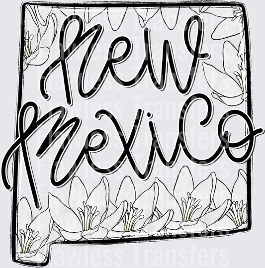 New Mexico Whimsy States #0986