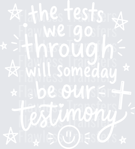 The Tests We Go Through #5546