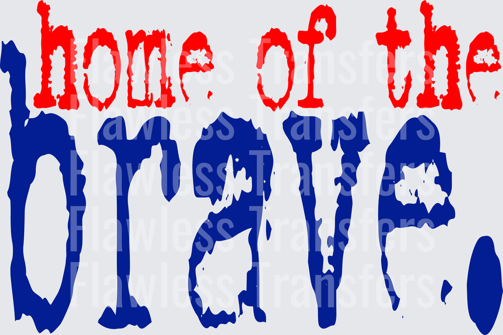 Home Of The Brave #0045 DTF Transfer - Raw Image