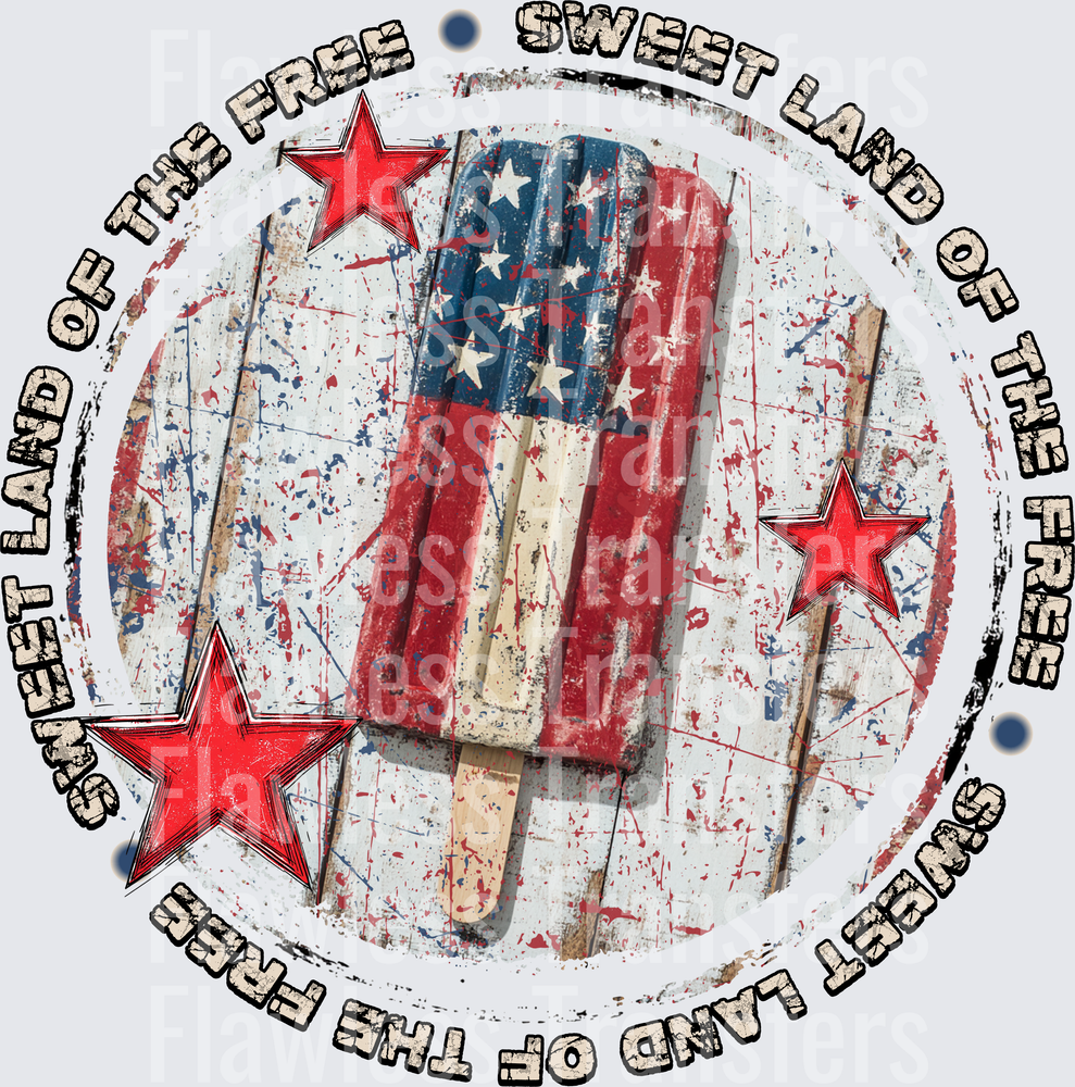 Sweet Land Of The Free #0080 DTF Transfer - Raw Image