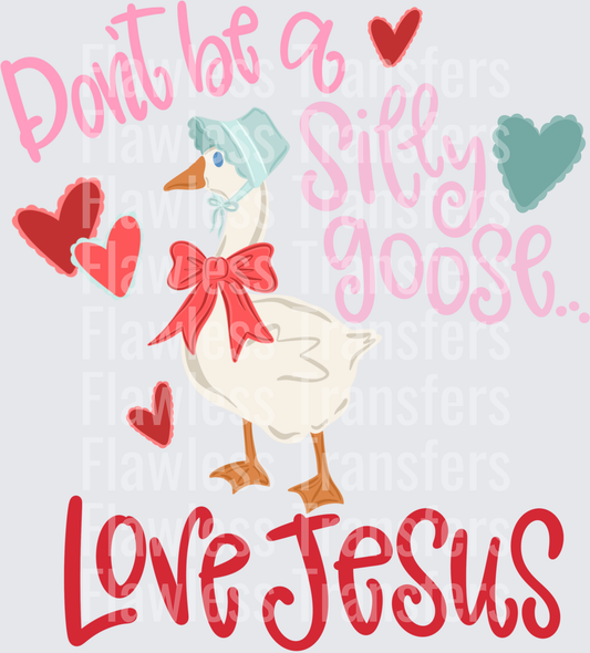 Dont Be A Silly Goose Love Jesus #5285