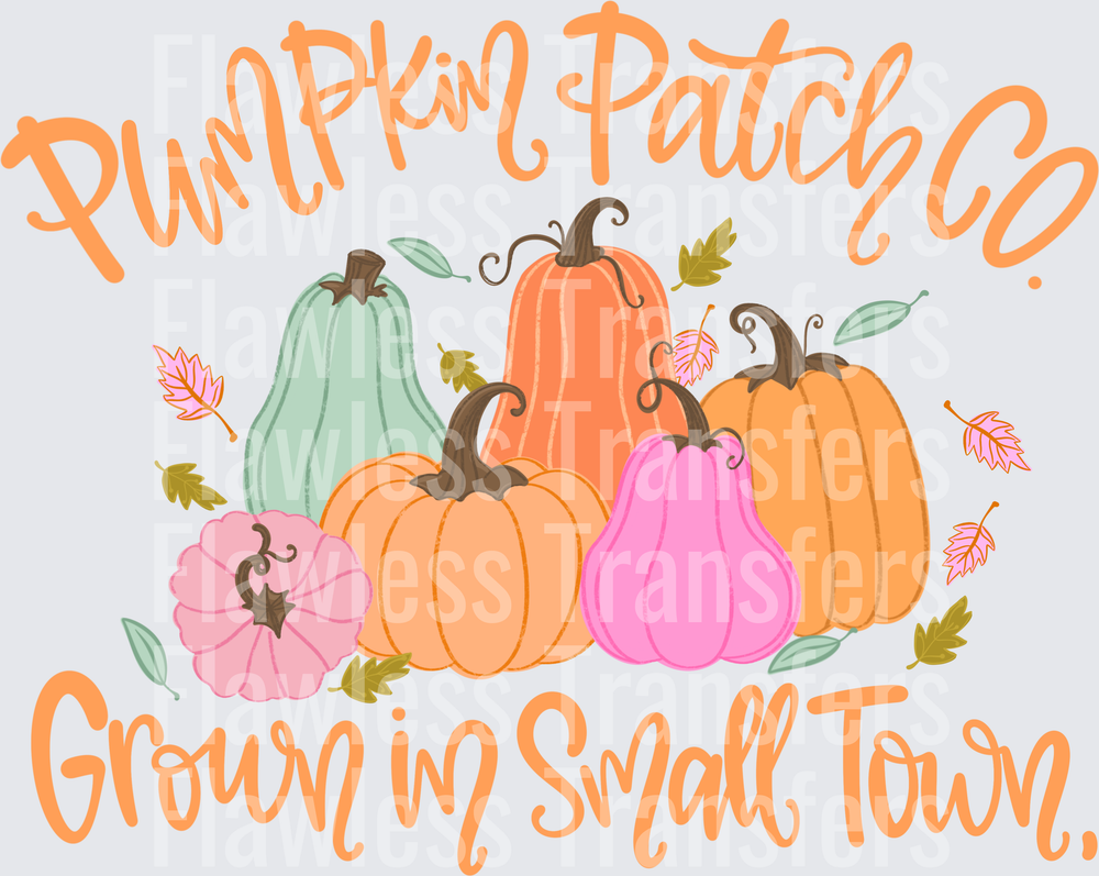 Pumpkin Patch Co Grown In Small Town #0402