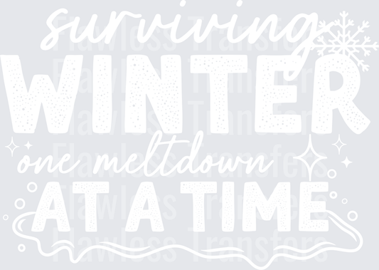 Surviving Winter One Meltdown At A Time #1637