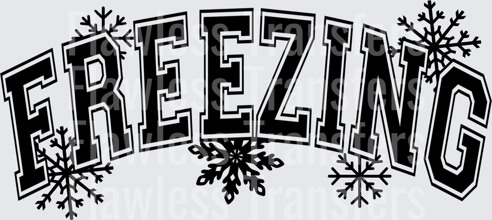 Freezing Snowflakes Front Print #1639
