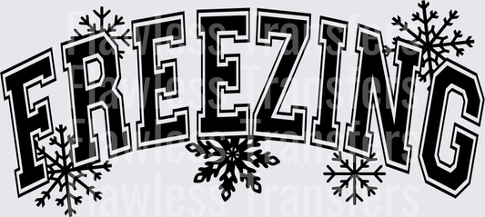Freezing Snowflakes Front Print #1639
