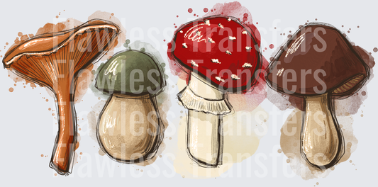 Fall Mushrooms #0033