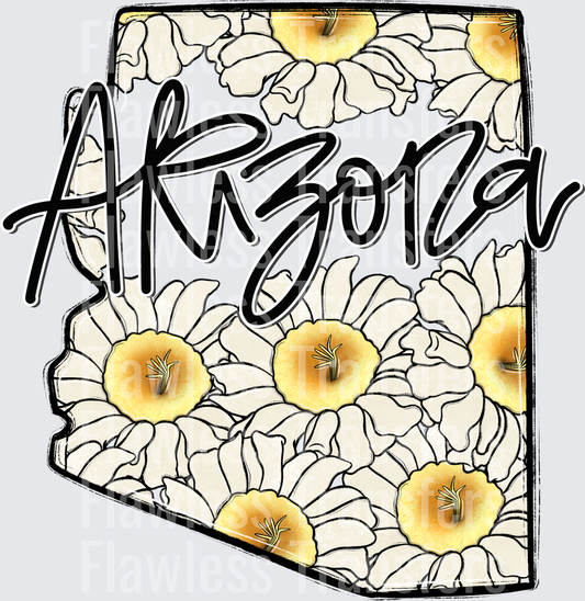 Arizona Whimsy States #0920