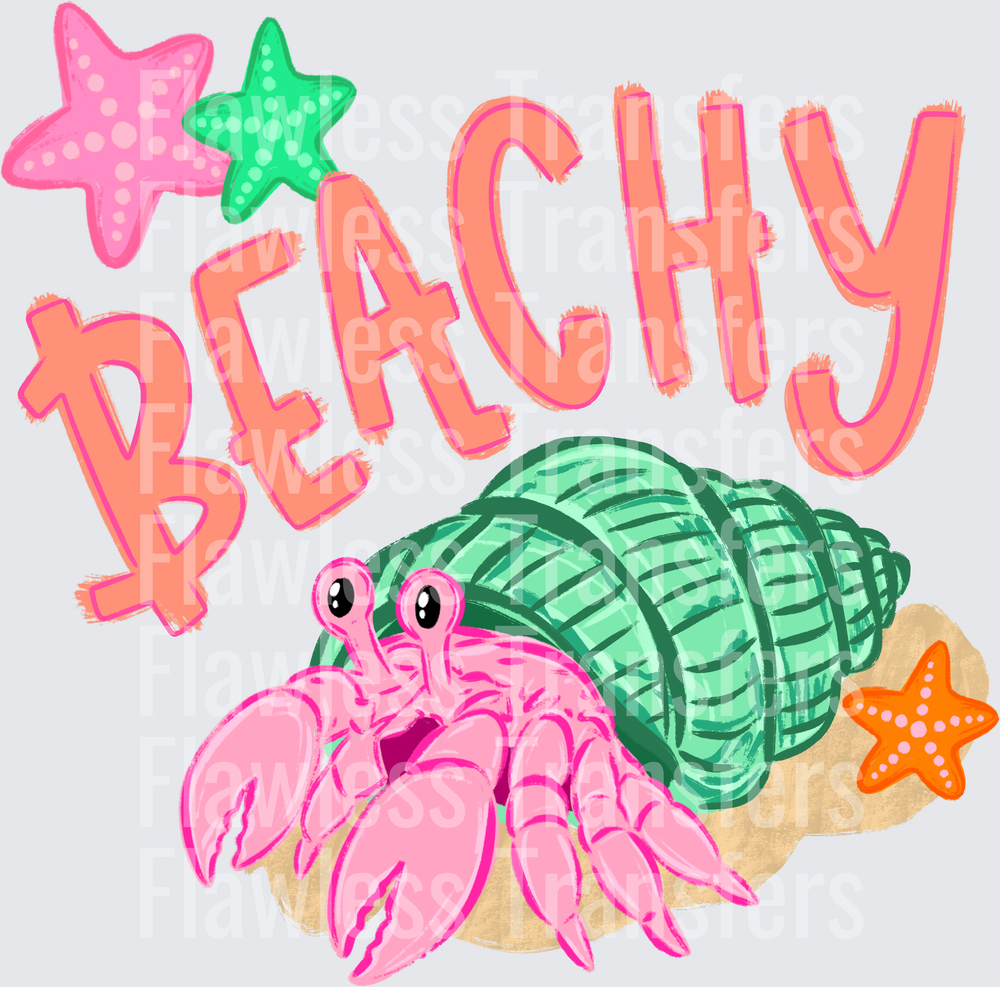 Beachy Hermit Crab #4592