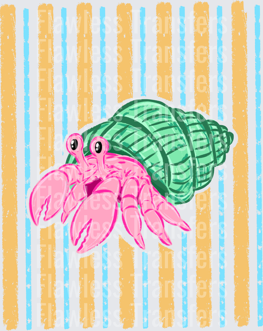 Hermit Crab #4591