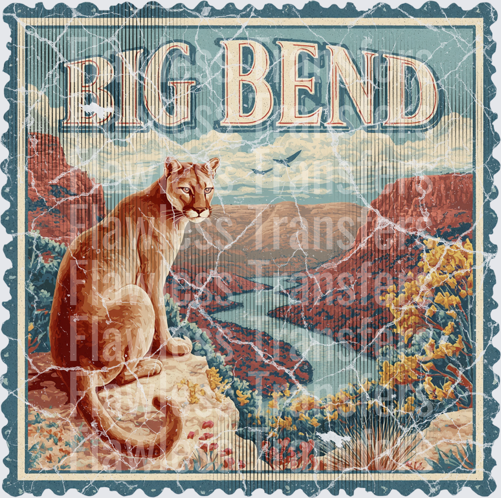 Big Bend Park Vintage Stamp #1182
