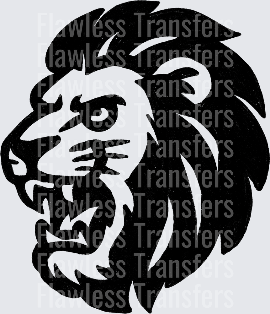 Lion #2699