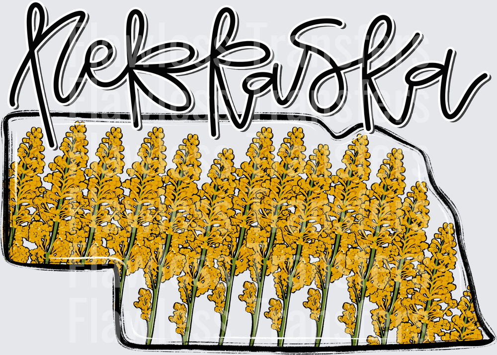 Nebraska Whimsy States #0972