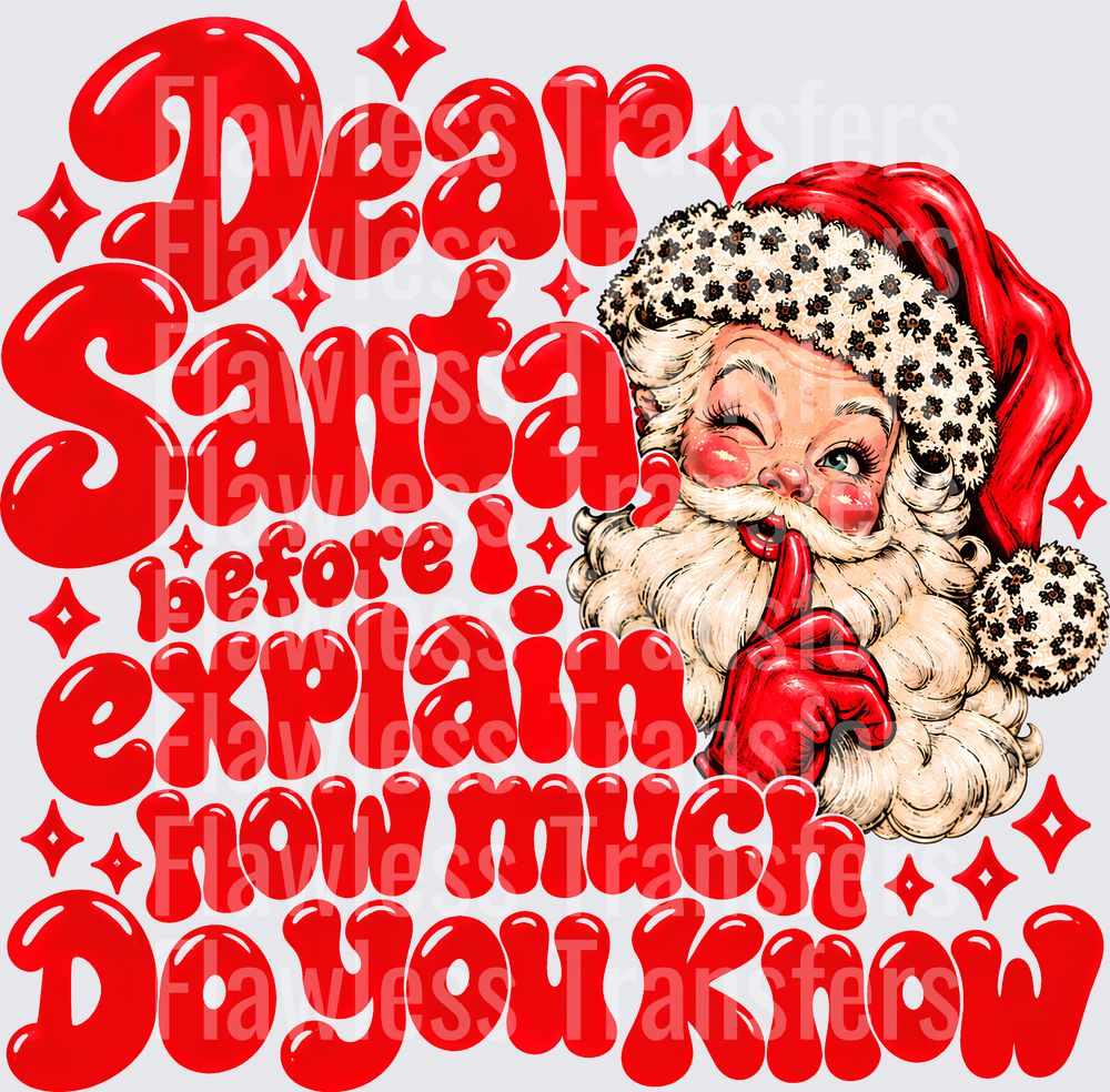 Dear Santa Before I Explain How Much Do You Know #9759