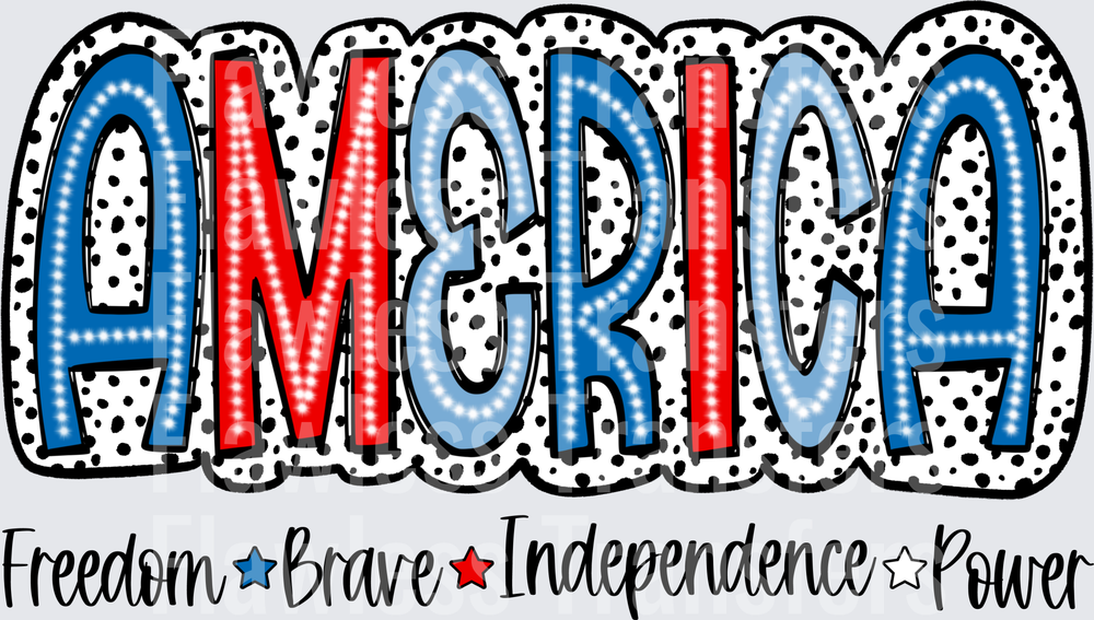 America Freedom Brave Independence Power #0009 DTF Transfer - Raw Image