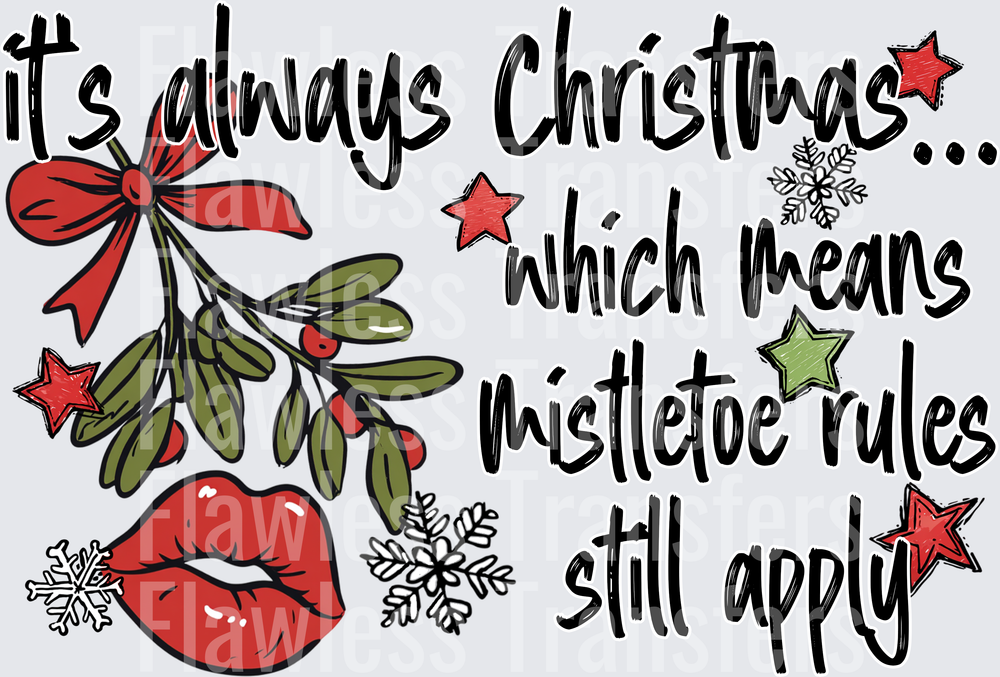 Its Always Christmas Which Means Mistletoe Rules Still Apply #1704