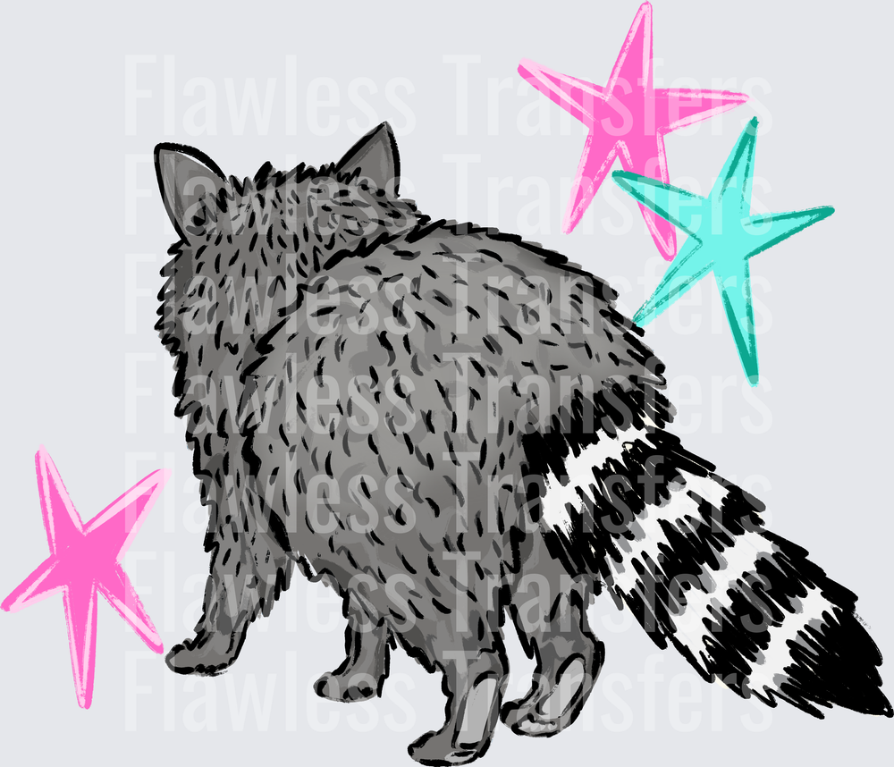Racoon #4246