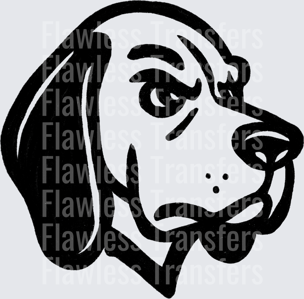 Coonhound #2637