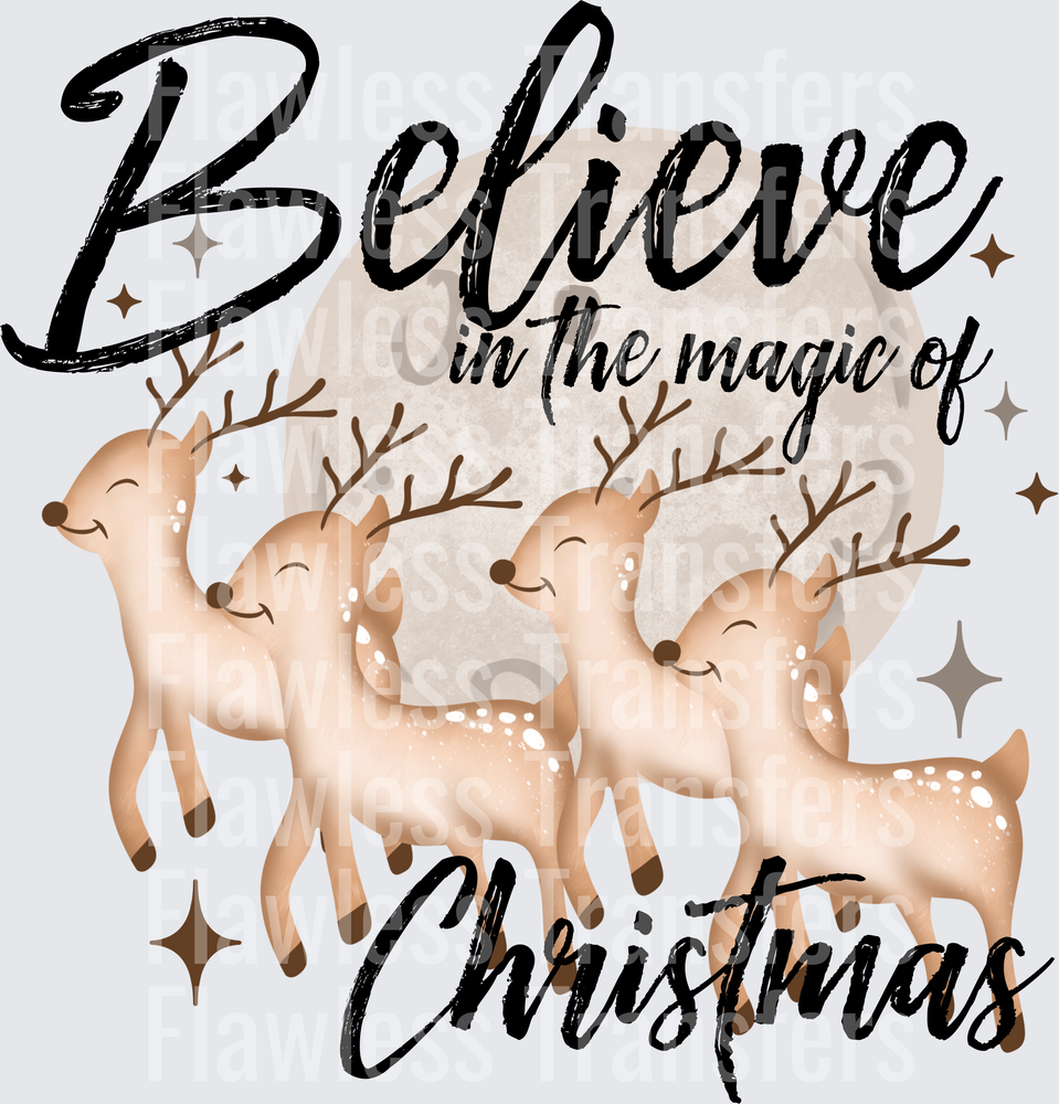 Believe In The Magic Of Christmas #1656