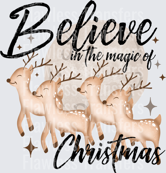 Believe In The Magic Of Christmas #1656