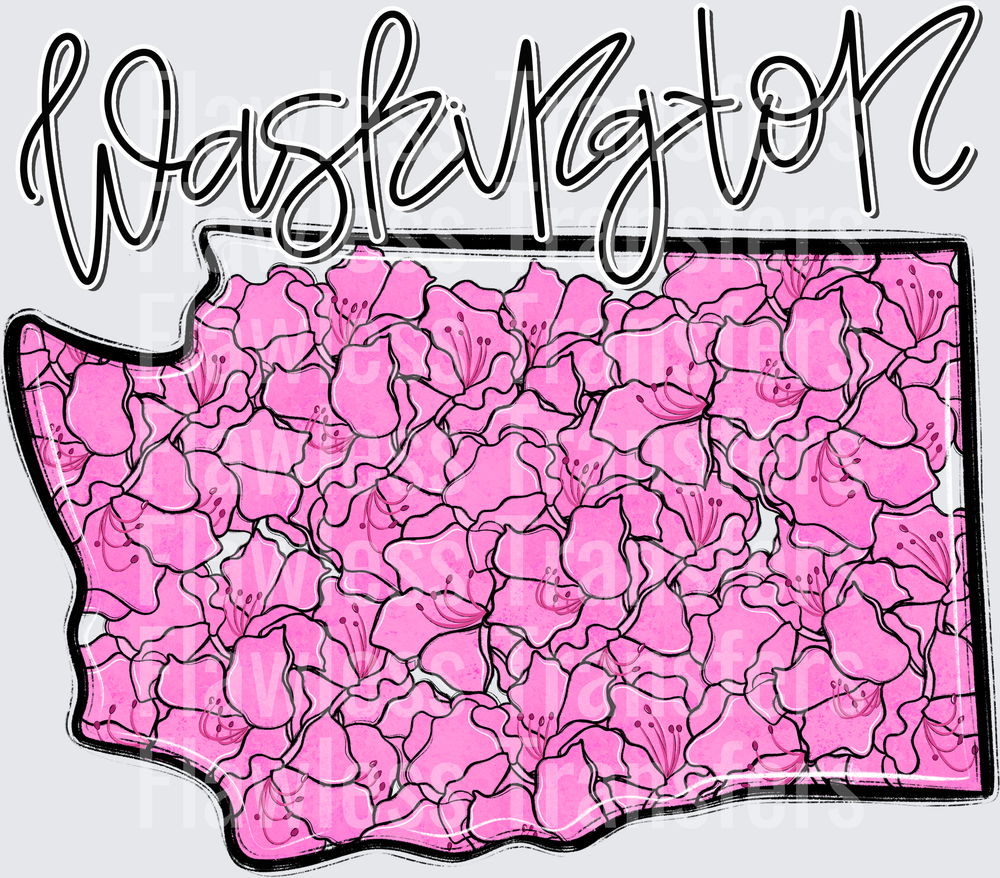 Washington Whimsy States #0995