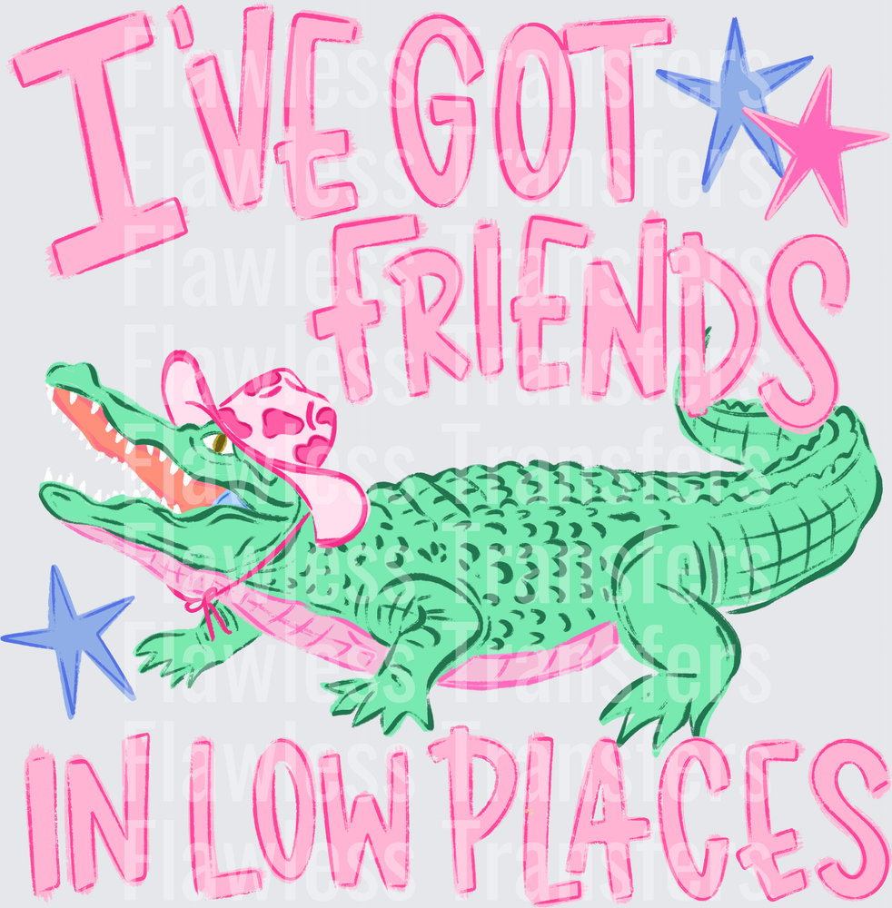 Ive Got Friends In Low Places #4278