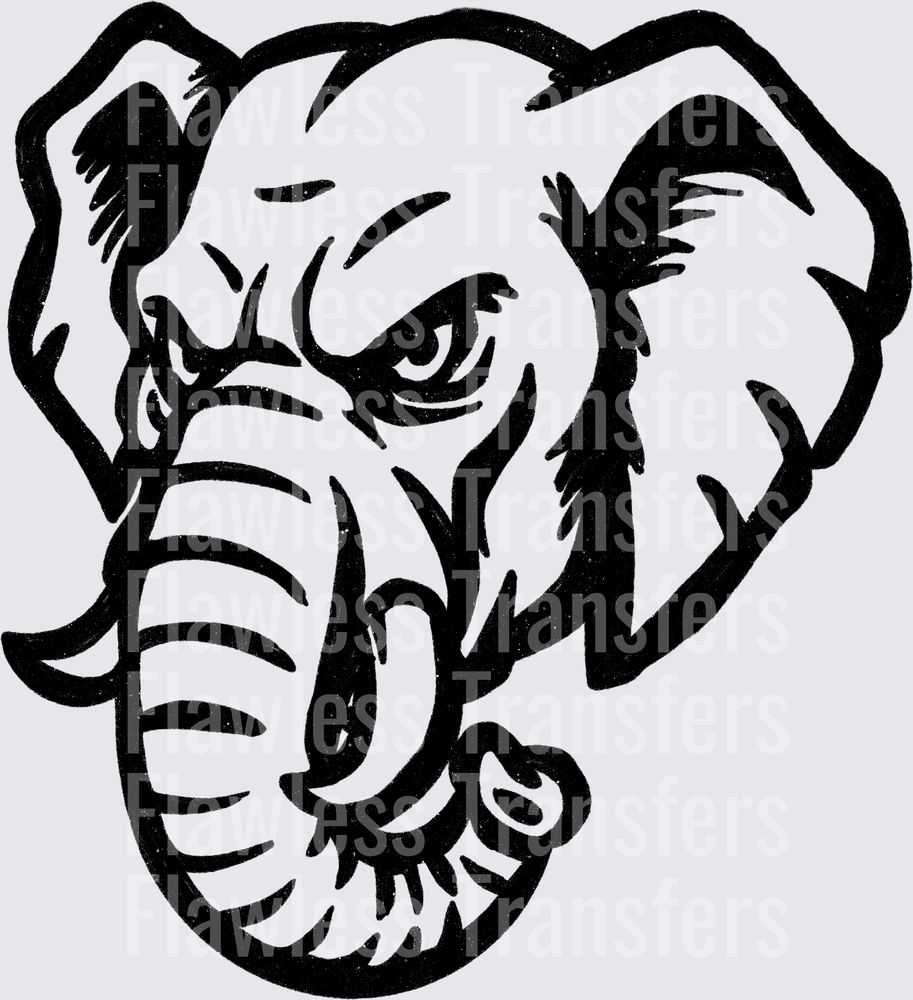 Elephant #2643