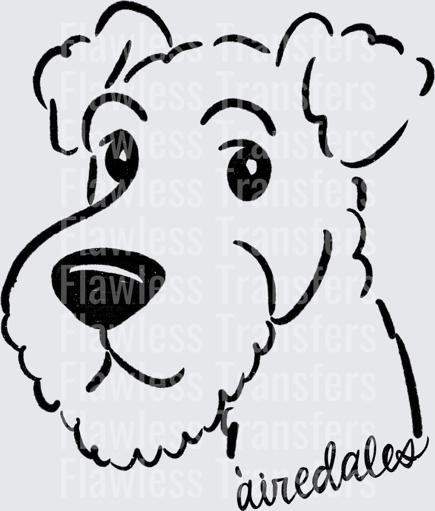 Airedales #2801